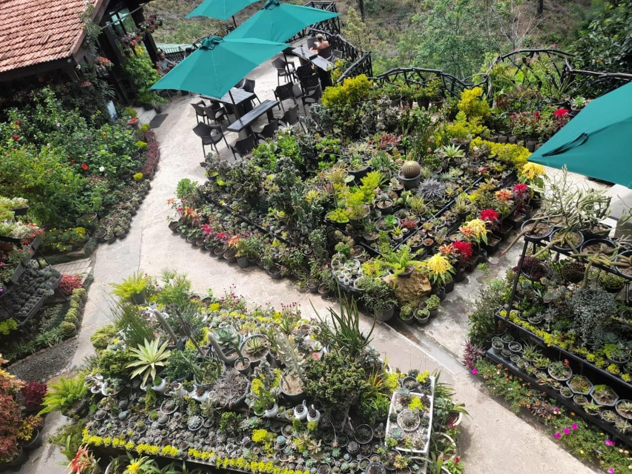 Ella Flower Garden Resort Eksteriør bilde