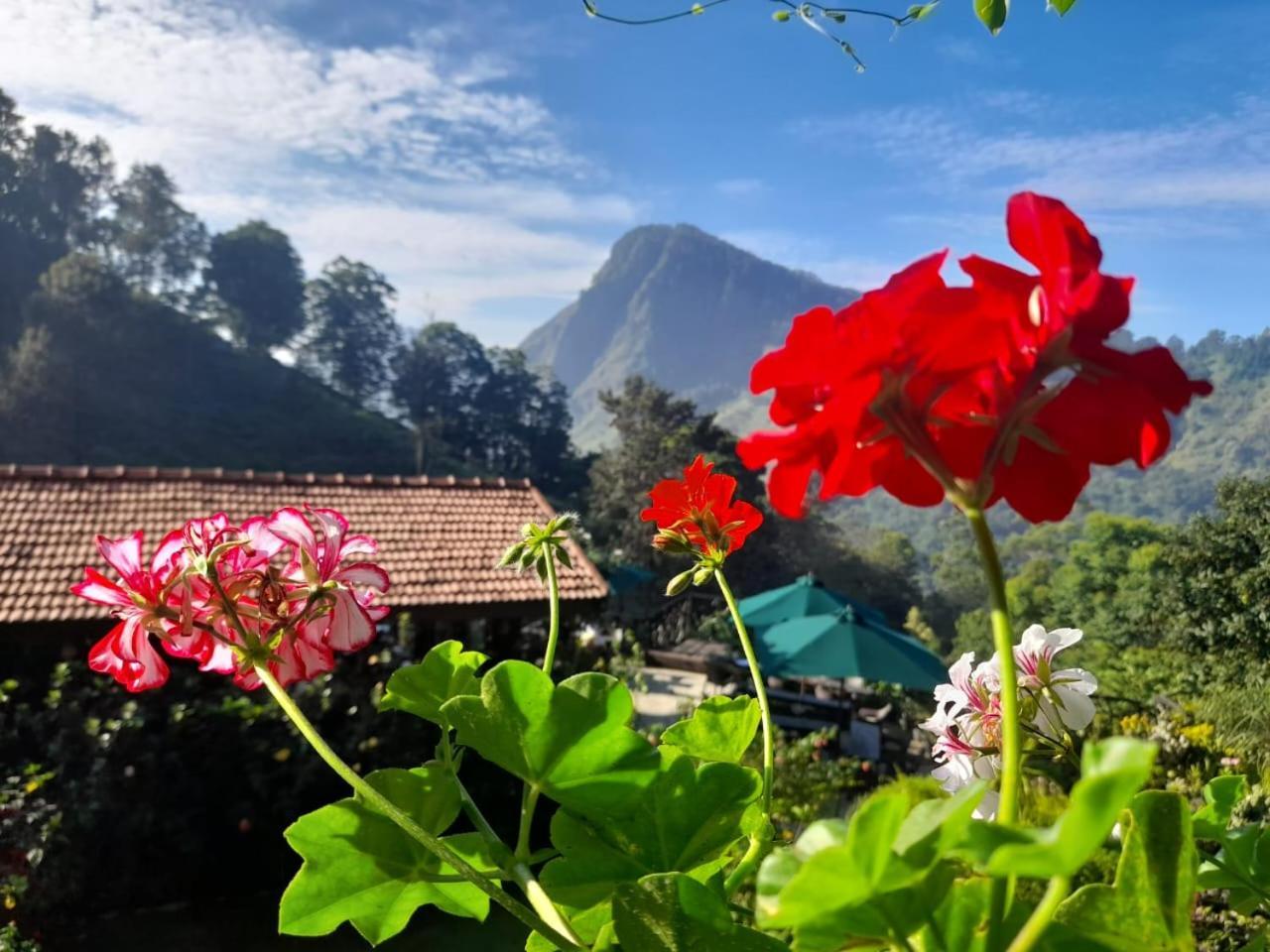Ella Flower Garden Resort Eksteriør bilde